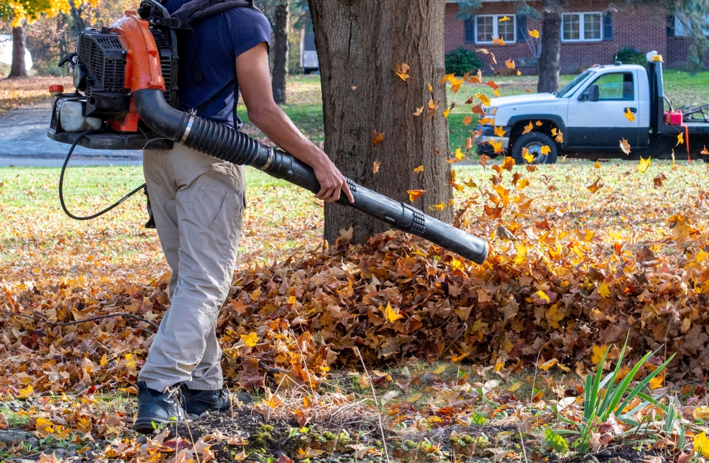 Fall Cleanup by Key Landscaping